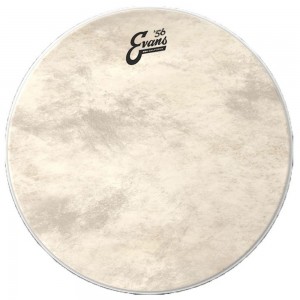 Evans 14'' Calftone Drum head